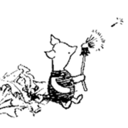 Anatomy + Physiology