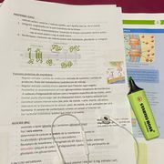 BIOLOGIA