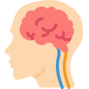 Cognitive Pscyhology