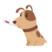 Polysystemic Disease Spring 2023