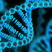 FFR110 - Computational biology