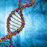 Genetics