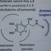 Farmaceutica