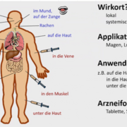 Biopharmazie COPY von Anna H