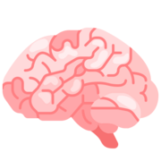 Neurologia