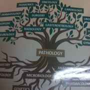 Pathology