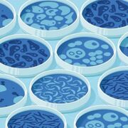 Microbiology 🦠🧫
