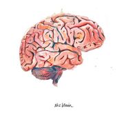 (KUFUMA) Neuro