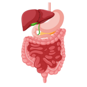 Gastrointestinal