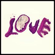 604 Histology