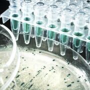 מולקולרית וביוטכנולוגיה