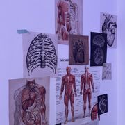 Human Bio