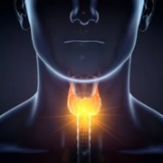 NKO - Laryngologie