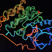 Bioquímica