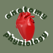 Anatomy and Physiology