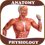 Anatomy and Physiology