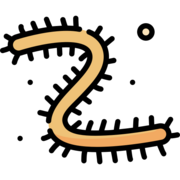 PARA