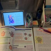 biology🫀