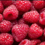 Cultures fruitières 2