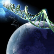 Bio Unit 4