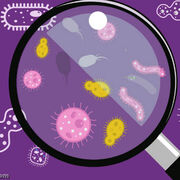 Microbiologie