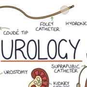 Urology