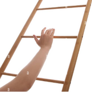 C08 - mobilité sociale