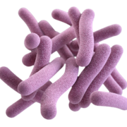 Microbio