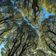 Environmental Science Unit 1