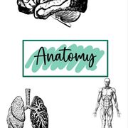 Anatomy
