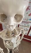 Bio