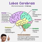 processos psicológicos