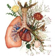 Biologia