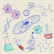 Bio 11