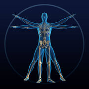 Fisiología I - Neuroanatomía