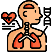 Morfofisiologia