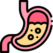 Gastro