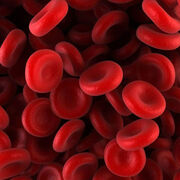 Hematologia e Hemoterapia
