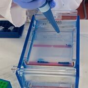 Biologia Molecolare Avanzata