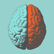 Neurology