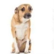 planificación y organización del servicio