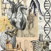 Biologioa