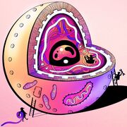 Open Learn Biology '24