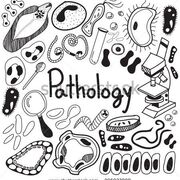 pathology