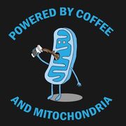 Molecular 1