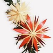 phx - Greek - Grace - 1 John