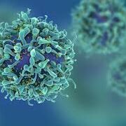 Work Immunology Stuff