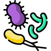 Microbiologia II