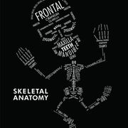 human physiology