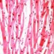 Pathology